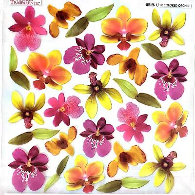 Folie imprimata Sospeso Trasparente 1/12 Colored Orchid