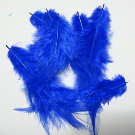 Pene albastre 10-14 cm