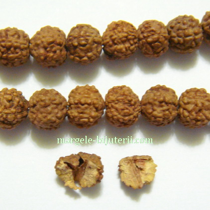Margele, seminte de rudraksha, maro, cu 5 muchii, 5-5.5mm