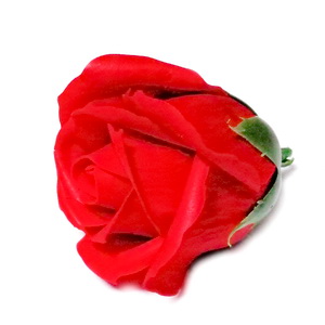 Trandafiri sapun rosii, 5cm