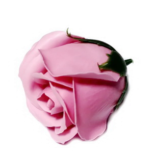 Trandafiri sapun, roz-somon, 5cm