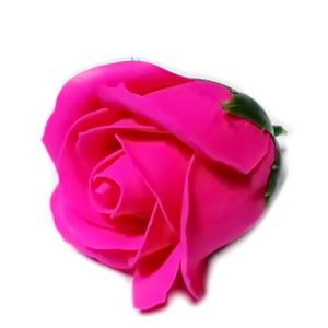 Trandafiri sapun fucsia, 5cm 1 buc