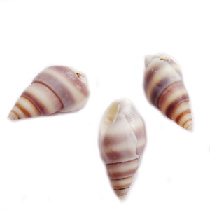 Pandantiv scoica, spirale maro si crem, 15~20x8~11x7~9mm 1 buc