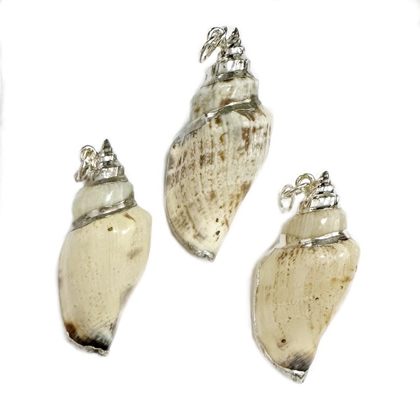 Pandantiv scoica crem, electroplacata cu argintiu, 49~55x20~23mm 1 buc