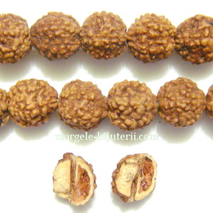 Margele, seminte de rudraksha, maro inchis, cu 5 muchii, 7-8mm 1 buc
