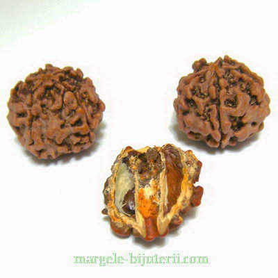 Margele, seminte de rudraksha, maro, 5 muchii, 10-11mm 1 buc